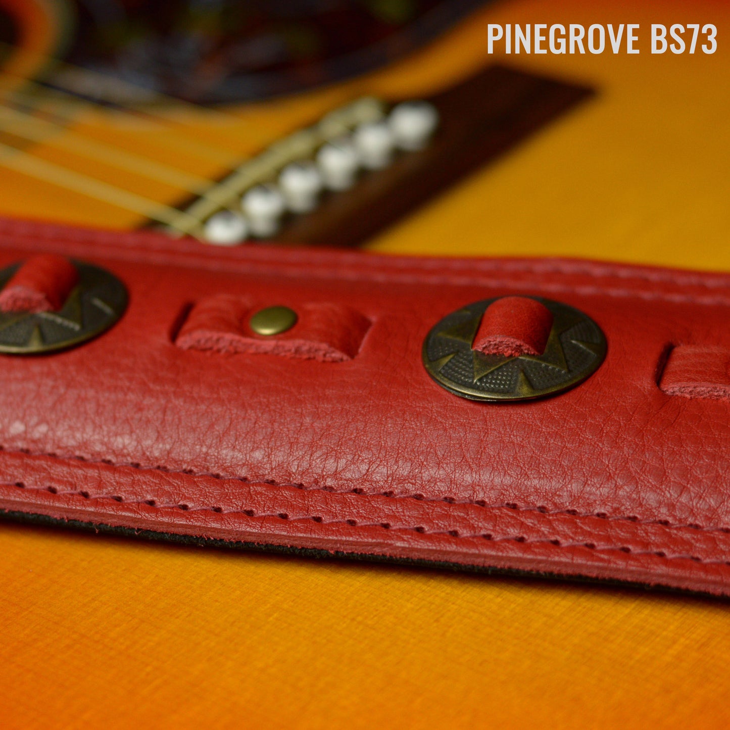 BS73 Western Guitar Strap - Bronze Conchos